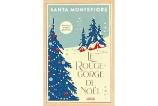 Le Rouge-gorge de Noël (nouvelle inédite gratuite): Par l'autrice de la saga best-seller Filles d'Irlande