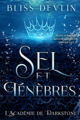 Sel et Ténèbres: Magie interdite. Amours défendues. Destins liés. (L’Académie de Darkstone t. 1)