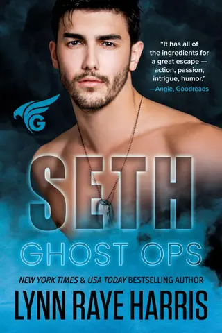 Seth: A Small Town, Enemies to Lovers, Military Protector Romance (Ghost Ops Book 3) (English Edition)