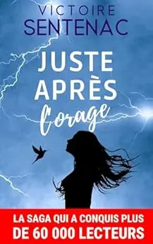 Juste après l'orage: Tome 1 - Une magnifique histoire de résilience (Collection Intense | Juste après l'orage)