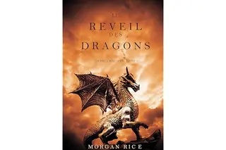 Le Réveil des Dragons (Rois et Sorciers—Livre 1)