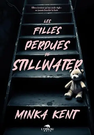 Les filles perdues de Stillwater: le thriller psychologique phénomène aux USA