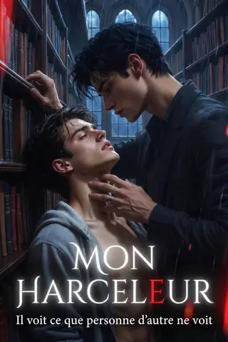 Mon Harceleur: Il voit ce que personne d'autre ne voit (Standalone MM Romances)