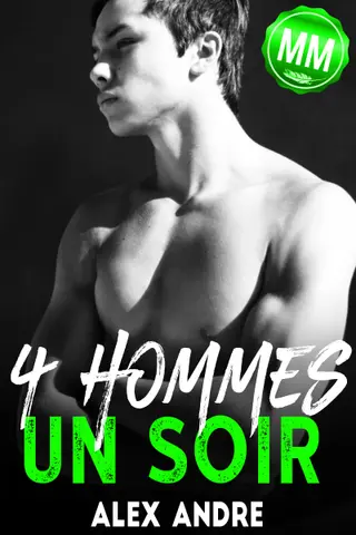 Quatre Hommes Un Soir (MMMM): Livre érotique Gay