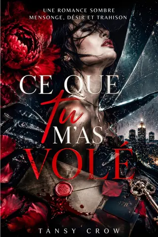 Ce que tu m'as volé: Une romance sombre — mensonge, désir et trahison, tome 1.