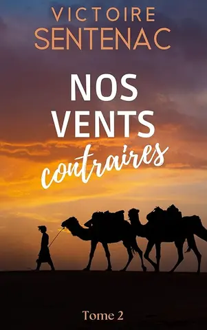 Nos vents contraires: Tome 2 Juste après l'orage (Collection Intense | Juste après l'orage)