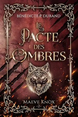 Le pacte des Ombres (Maeve Knox t.2): Urban Fantasy