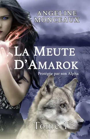 La Meute d'Amarok: Protégée par son Alpha - Version adulte